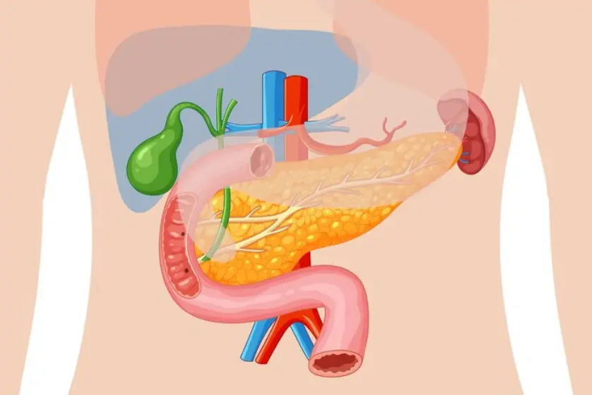 Personalized Care Plans Supporting Better Outcomes For Chronic Digestive Disorders