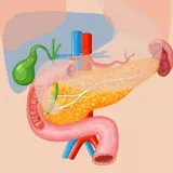 Personalized Care Plans Supporting Better Outcomes For Chronic Digestive Disorders